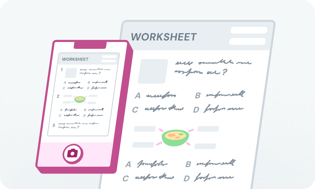 Wayground teacher grading app