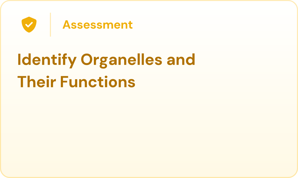 Identify Organelles and Their Functions