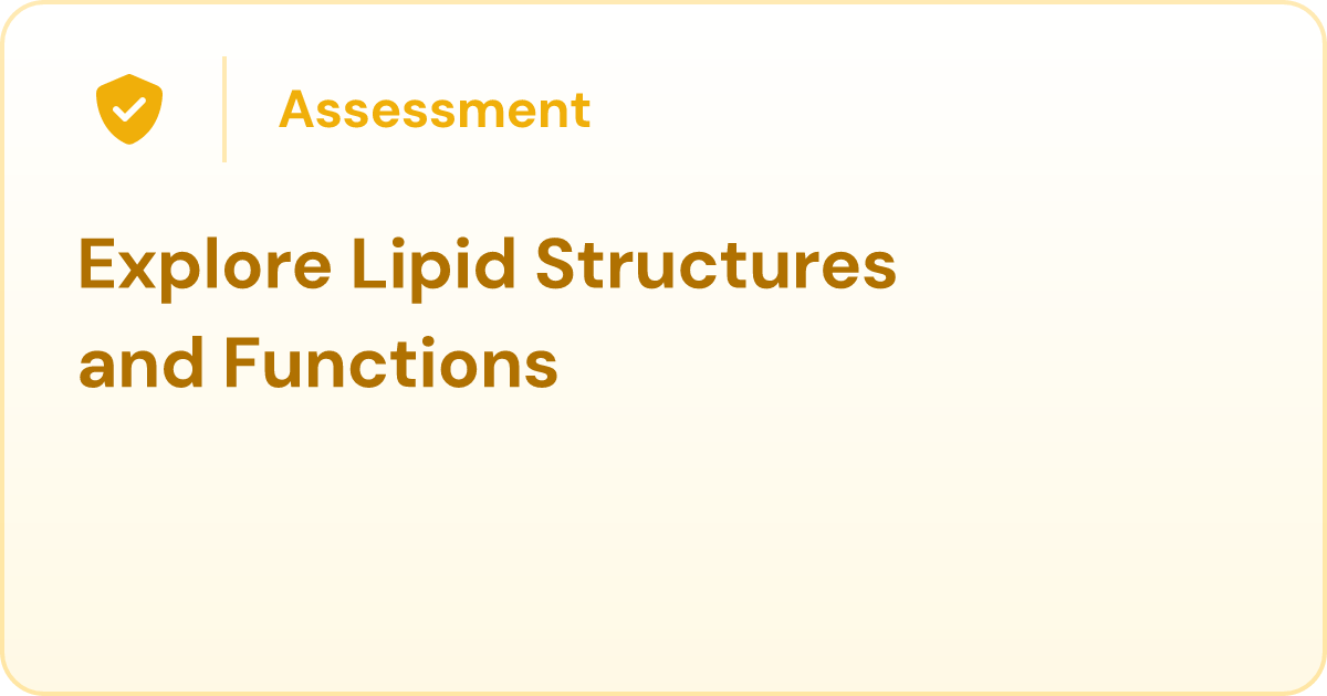 Explore Lipid Structures and Functions