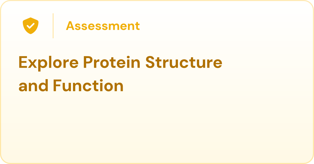 Explore Protein Structure and Function