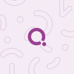 Dutch-French Language Flashcards