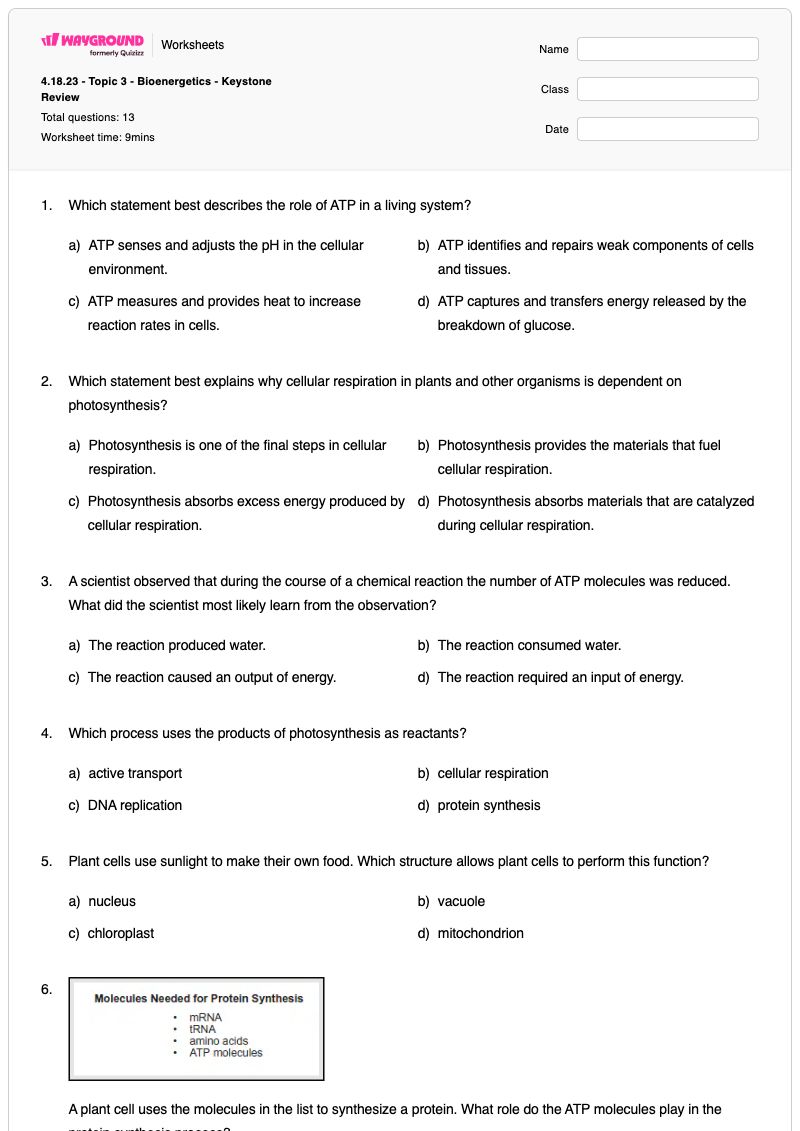 4.18.23 - Topic 3 - Bioenergetics -  Keystone Review - พิมพ์ได้ การสังเคราะห์แสงและการหายใจระดับเซลล์ เวิร์กชีท - Wayground
