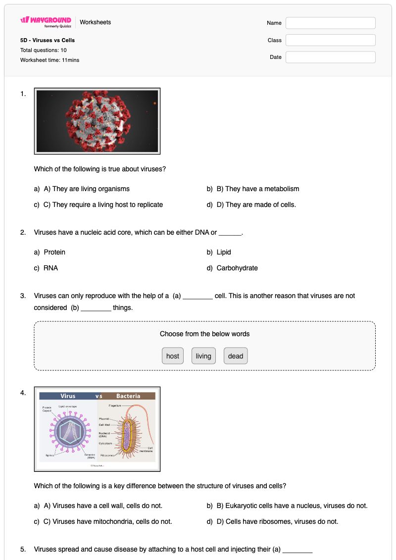 5D - Viruses vs Cells - พิมพ์ได้ Membrane-structure-and-function เวิร์กชีท ระดับ 11 - Wayground
