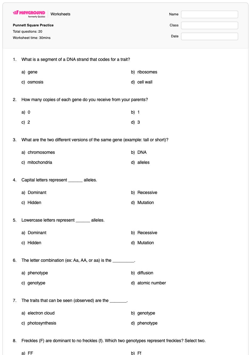 Punnett Square Practice - Printable Punnett-squares Worksheets Grade 7 - Wayground