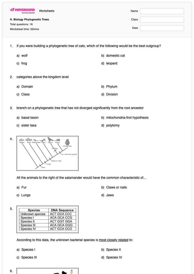 H. Biology Phylogenetic Trees - Printable Biology Worksheets - Wayground