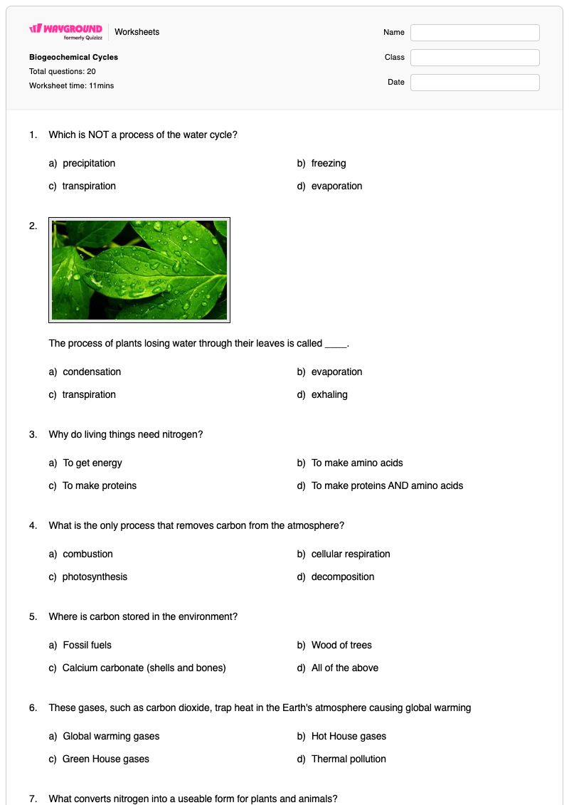 Biogeochemical Cycles - พิมพ์ได้ Biogeochemical-cycles เวิร์กชีท - Wayground