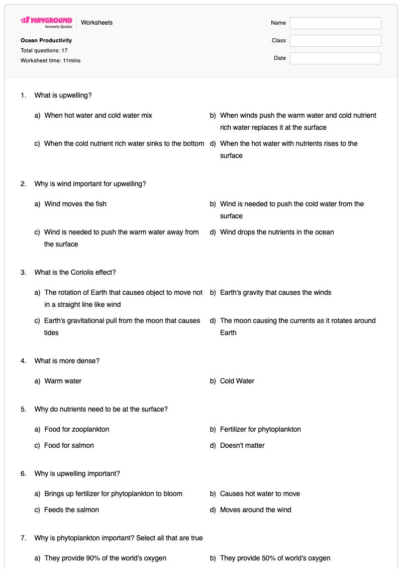 Ocean Productivity  - Printable Factors-affecting-photosynthesis Worksheets - Wayground