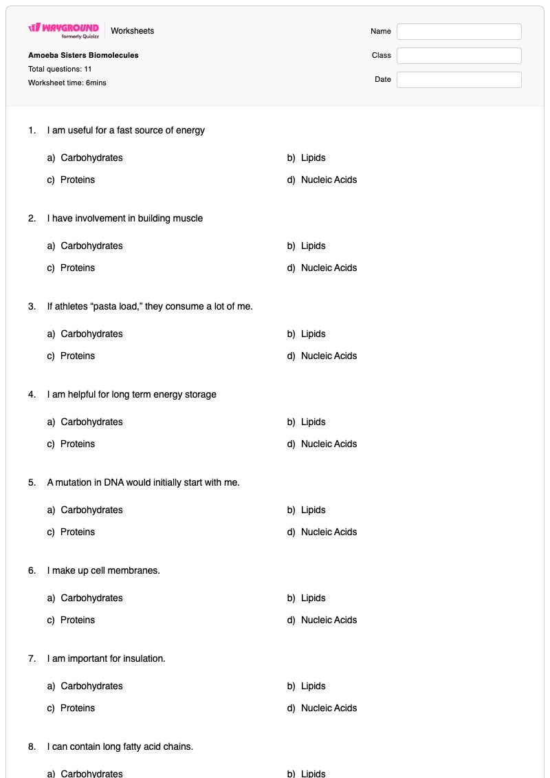 Amoeba Sisters Biomolecules - Printable Science Worksheets - Wayground
