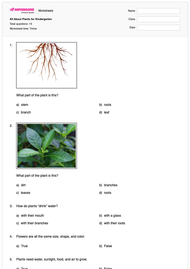 All About Plants for Kindergarten - Printable Food Worksheets Kindergarten - Wayground
