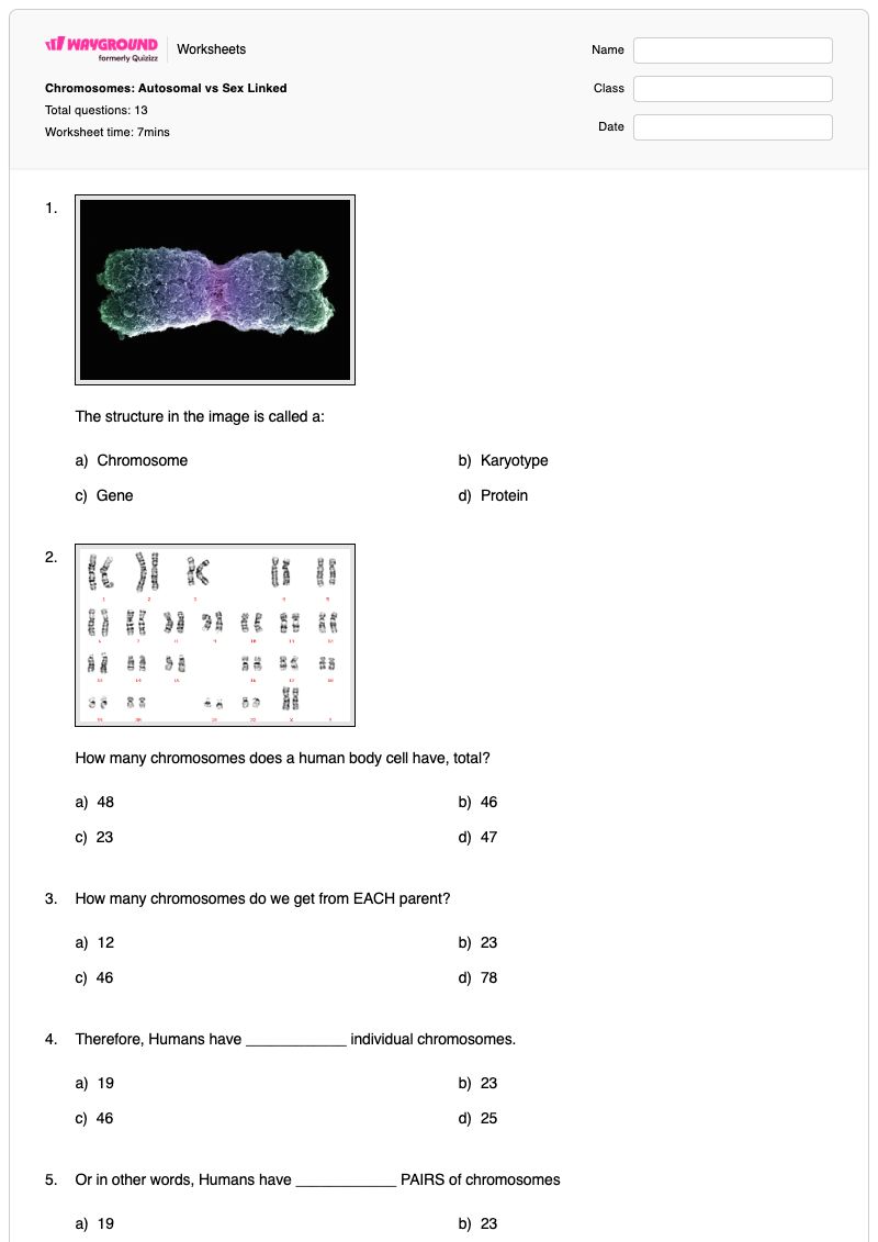 Chromosomes: Autosomal vs Sex Linked - Printable Chromosome-structure-and-numbers Worksheets Grade 9 - Wayground