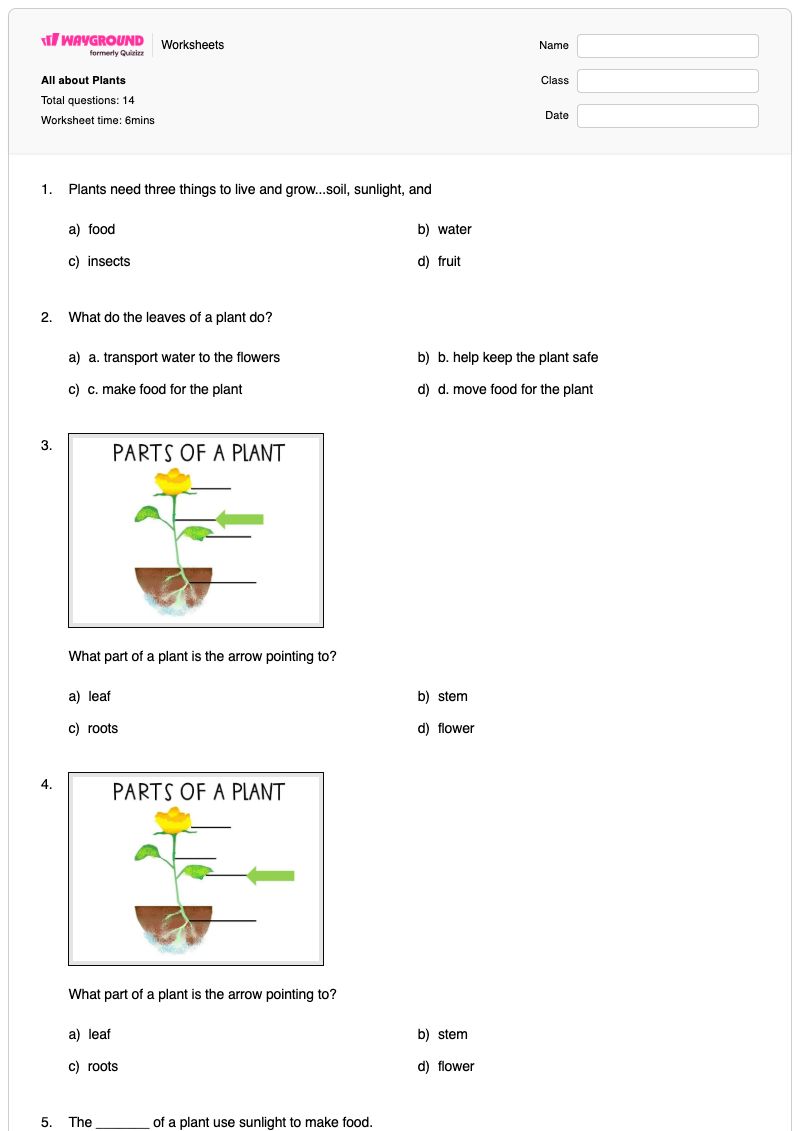 All about Plants - Printable Plant-growth Worksheets - Wayground
