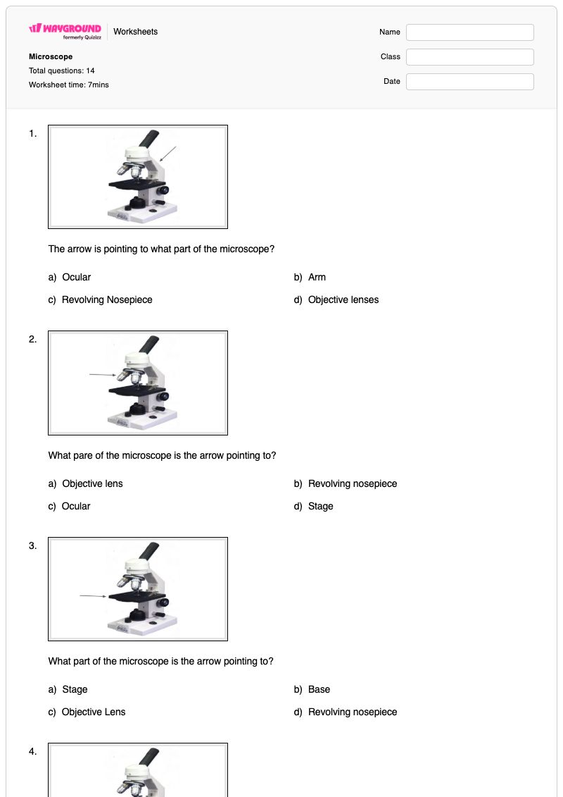 Microscope - Printable Parts-and-use Worksheets - Wayground