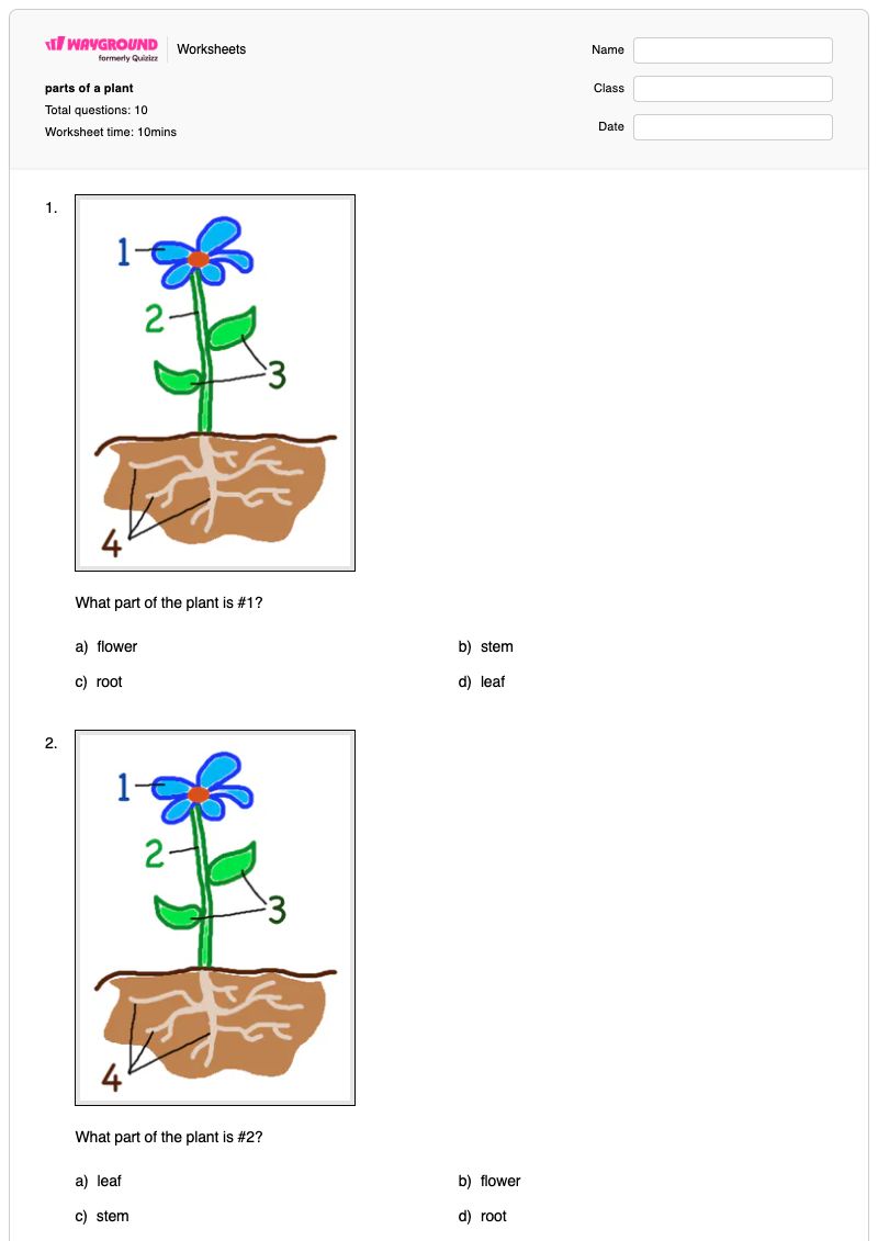 parts of a plant - พิมพ์ได้ ชิ้นส่วนคอมพิวเตอร์ เวิร์กชีท - Wayground