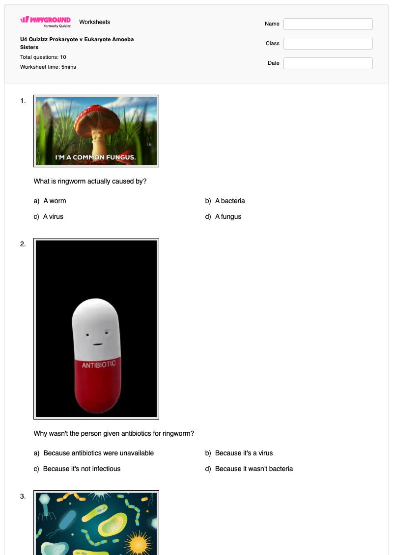 U4 Quizizz Prokaryote v Eukaryote Amoeba Sisters  - พิมพ์ได้ โพรคาริโอตและยูคาริโอต เวิร์กชีท - Wayground
