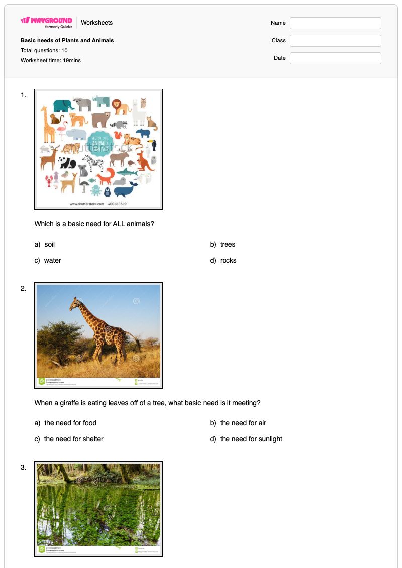 Basic needs of Plants and Animals - พิมพ์ได้ Plant-needs เวิร์กชีท - Wayground