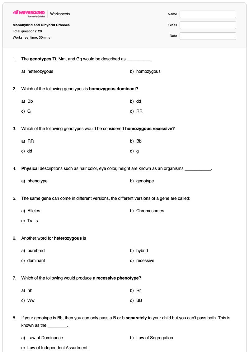 Monohybrid and Dihybrid Crosses - Printable Monohybrid-cross Worksheets Grade 9 - Wayground