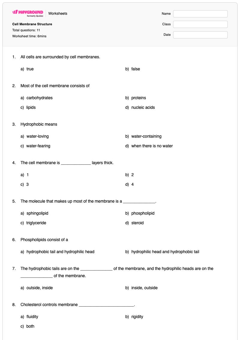 Cell Membrane Structure - Printable The-cell-membrane Worksheets - Wayground