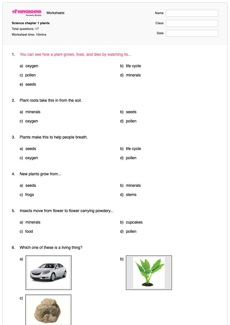 Science chapter 1 plants - Printable Plant-life-cycle Worksheets - Wayground