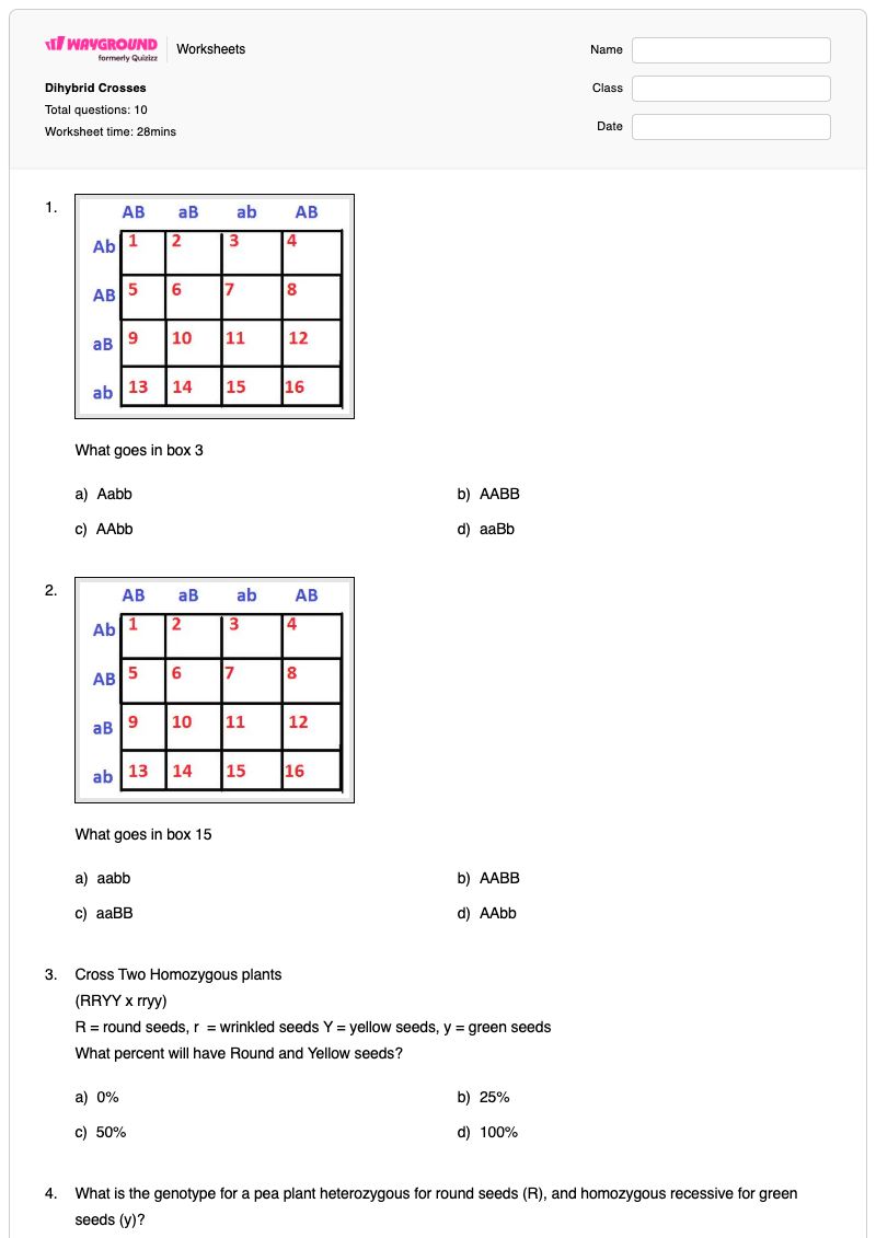 Dihybrid Crosses - Printable Biology Worksheets - Wayground
