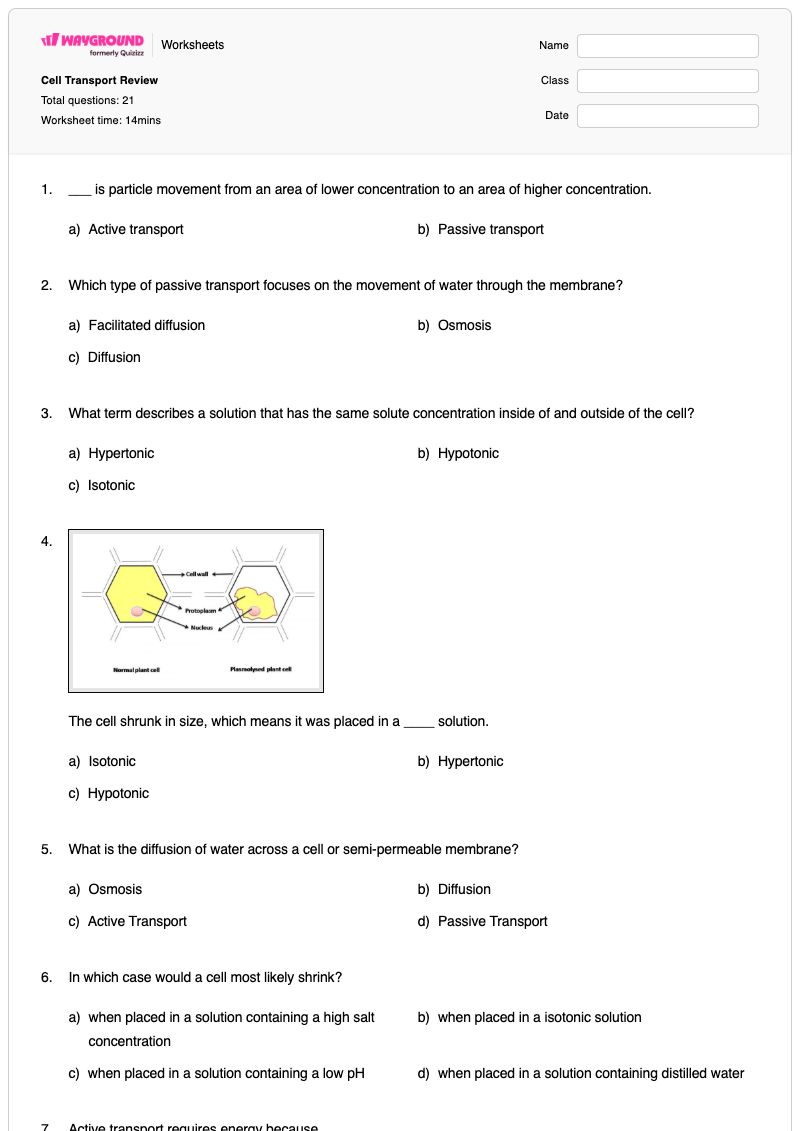 Cell Transport Review - Printable Cell-transport Worksheets - Wayground