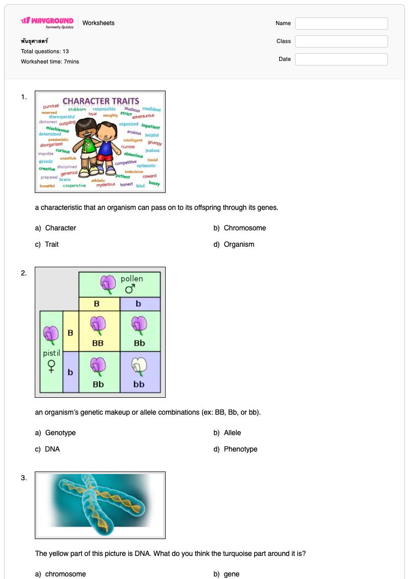 Genetics - พิมพ์ได้ พันธุศาสตร์ เวิร์กชีท - Wayground