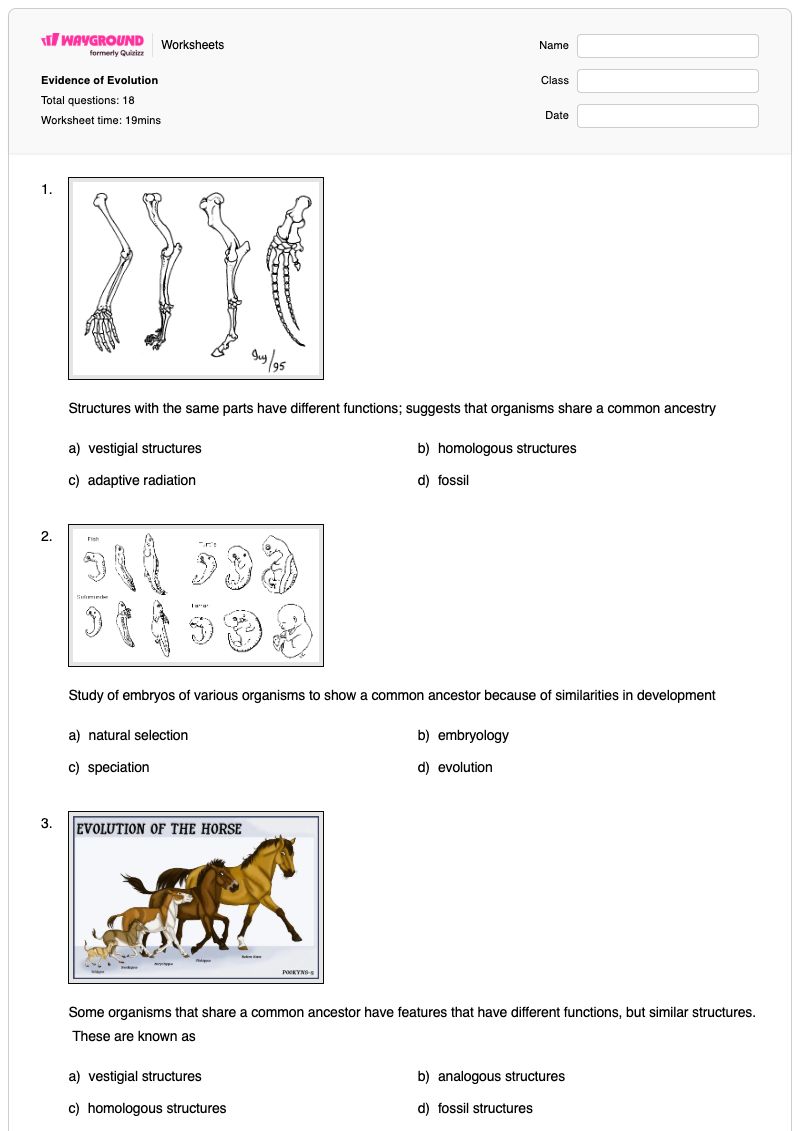 Evidence of Evolution - Printable Evidence-of-evolution Worksheets - Wayground