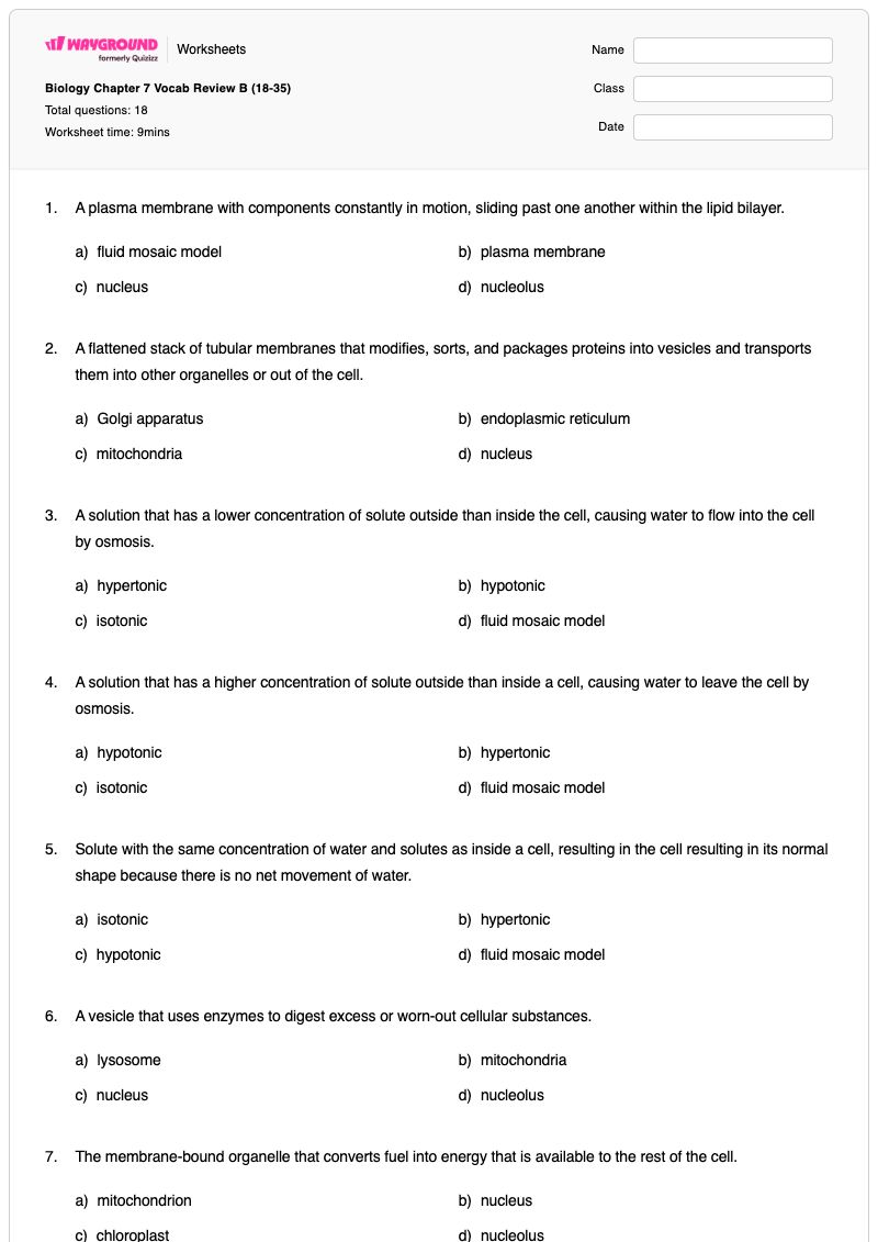 Biology Chapter 7 Vocab Review B (18-35) - Printable Functions Worksheets - Wayground