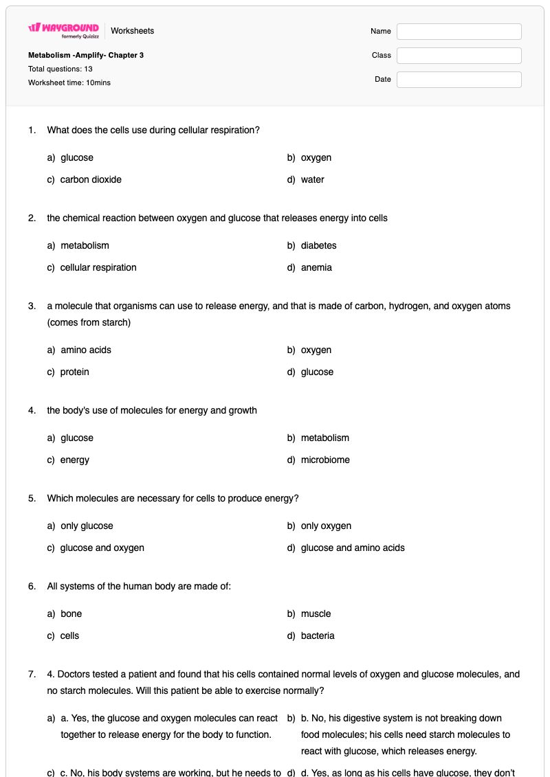 Metabolism -Amplify- Chapter 3  - Printable Metabolism Worksheets Year 7 - Wayground