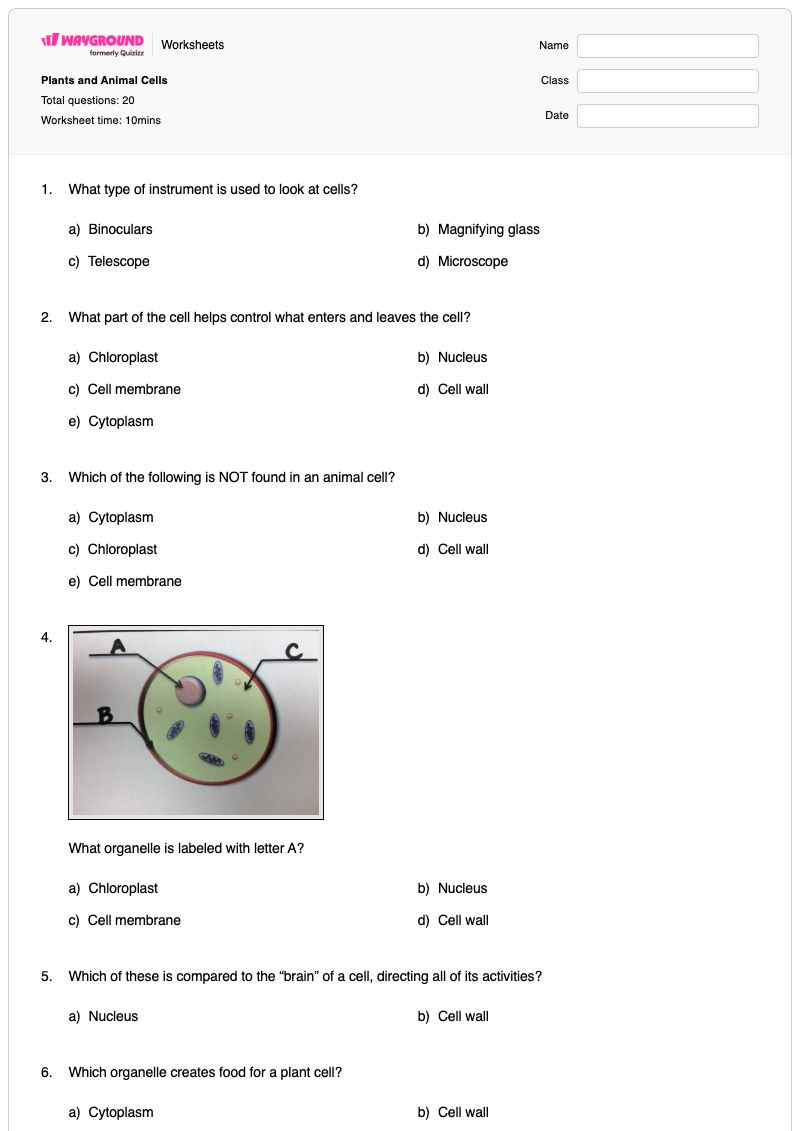 Plants and Animal Cells - Printable Animal-communication Worksheets Grade 7 - Wayground