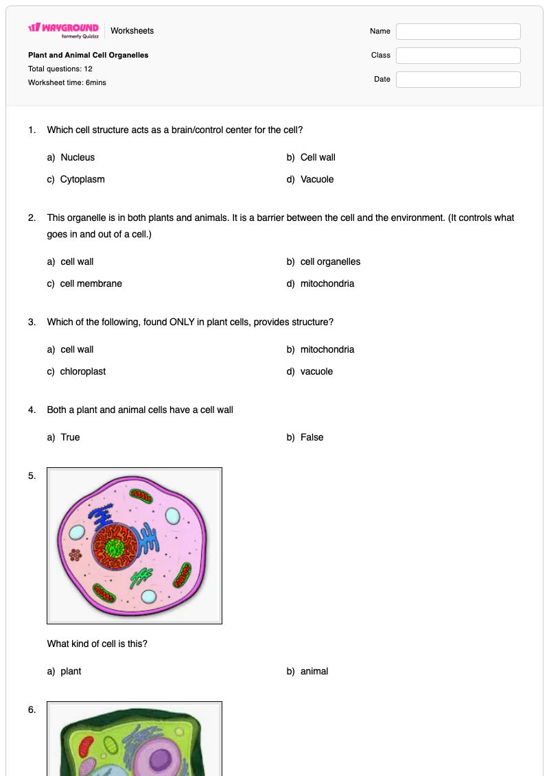 Plant and Animal Cell Organelles - Printable Plant-and-animal-cell Worksheets Grade 5 - Wayground
