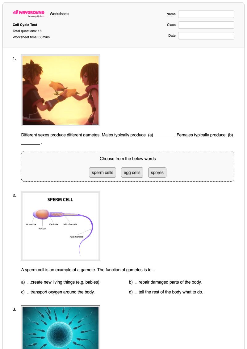 Cell Cycle Test - พิมพ์ได้ Stretching เวิร์กชีท ระดับ 10 - Wayground