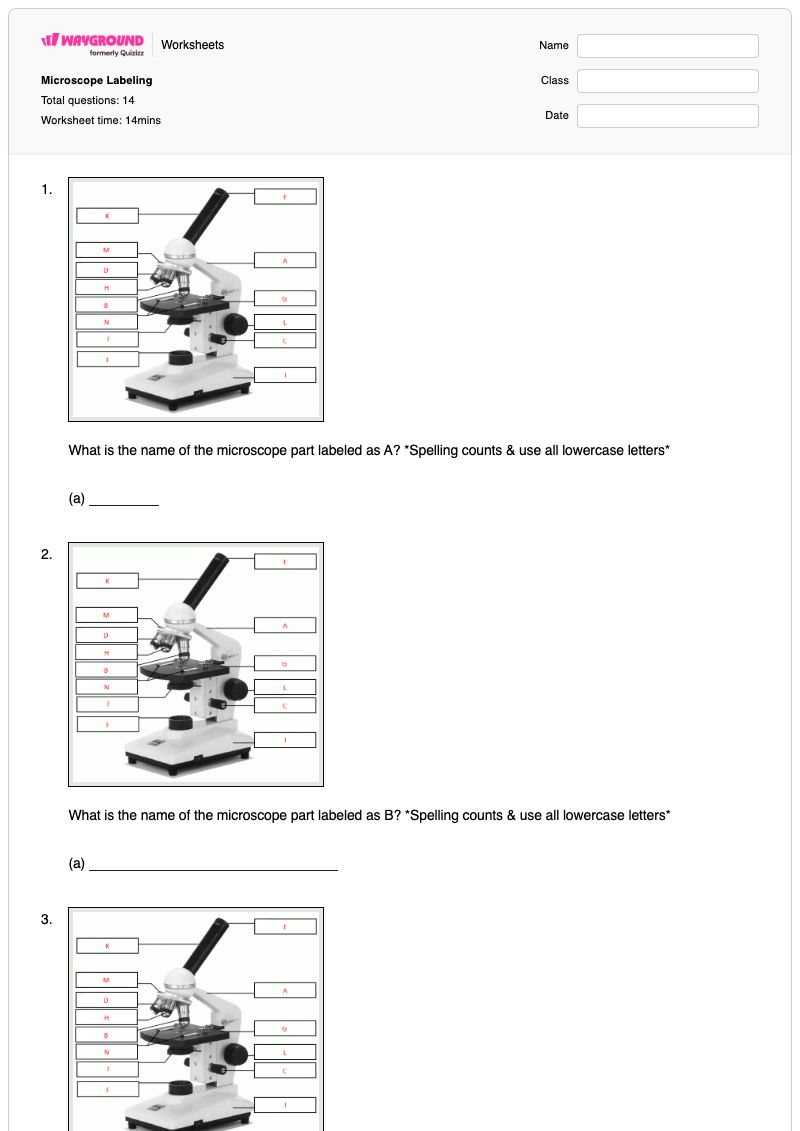 Microscope Labeling - พิมพ์ได้ ชิ้นส่วนกล้องจุลทรรศน์ เวิร์กชีท - Wayground