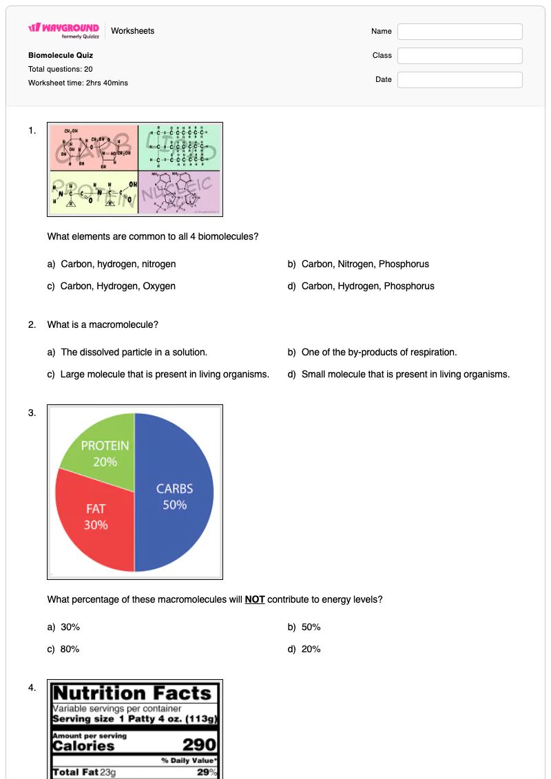 Biomolecule Quiz - Printable Functions Worksheets - Wayground