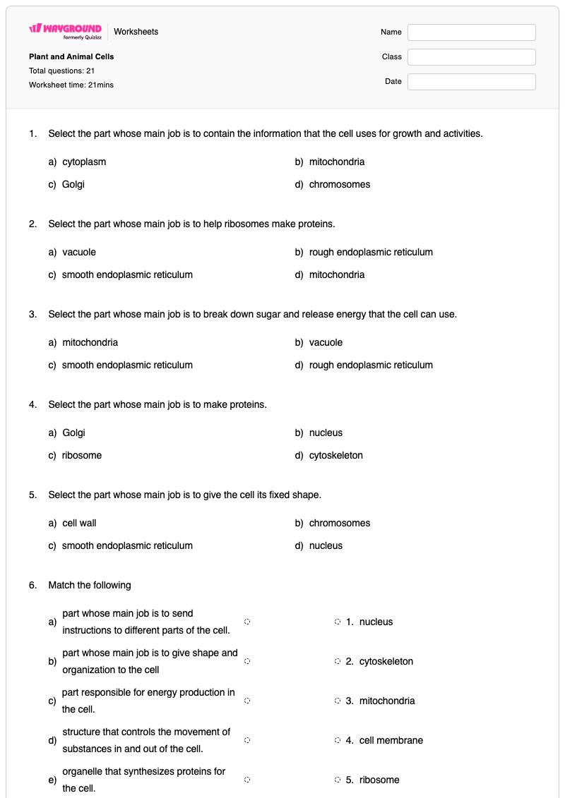 Plant and Animal Cells - Printable Electrochemical-cell Worksheets Year 9 - Wayground