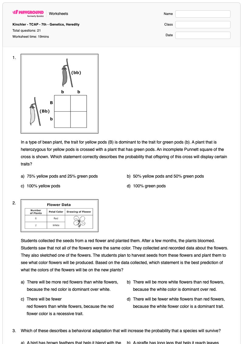 Kinchler - TCAP - 7th - Genetics, Heredity - Printable Genetics-vocabulary-dominant-and-recessive Worksheets Class 7 - Wayground