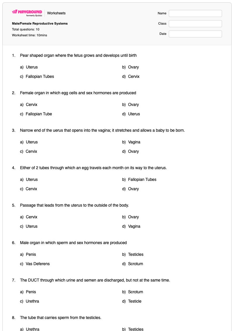 Male/Female Reproductive Systems - Printable Female-reproductive-system Worksheets - Wayground