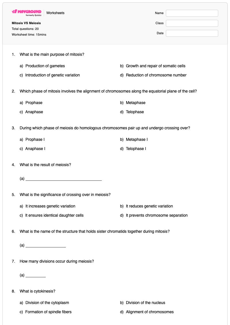 Mitosis VS Meiosis  - พิมพ์ได้ Phases-of-meiosis เวิร์กชีท - Wayground