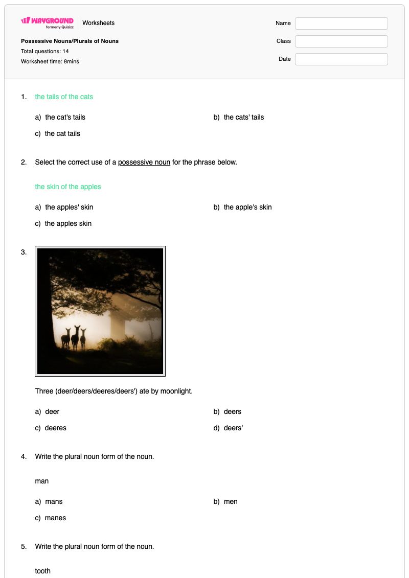 Possessive Nouns/Plurals of Nouns - Printable Plural-and-possessive-forms Worksheets Year 2 - Wayground