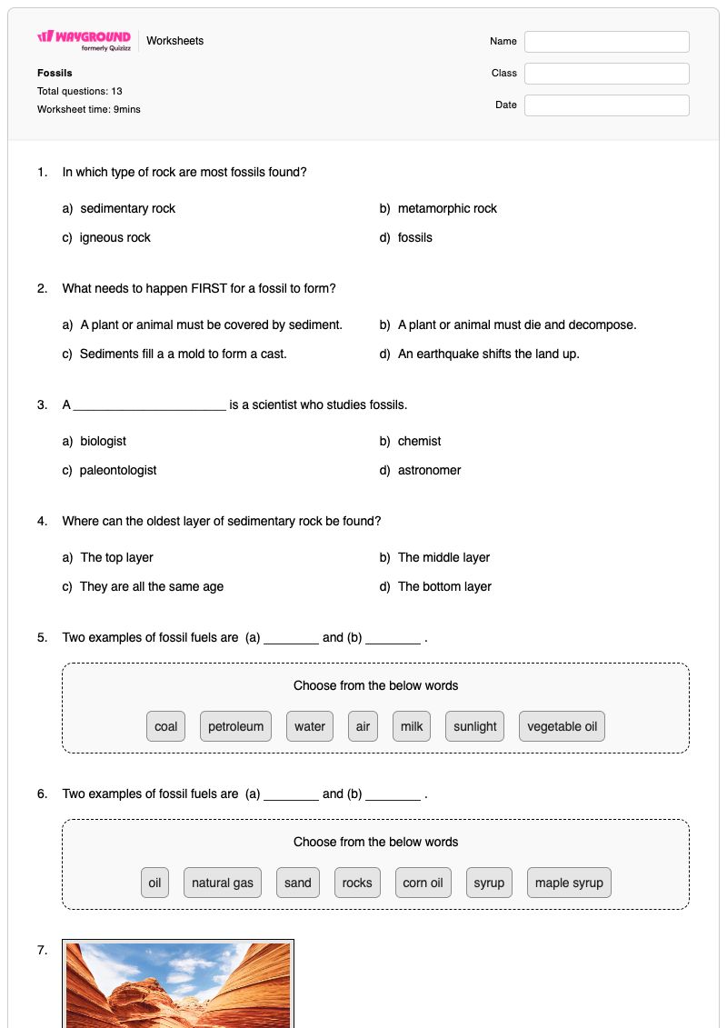 Fossils - Printable Animal-needs Worksheets Kindergarten - Wayground