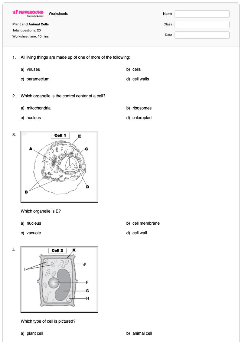 Plant and Animal Cells - Printable Plant-and-animal-cell Worksheets Grade 7 - Wayground