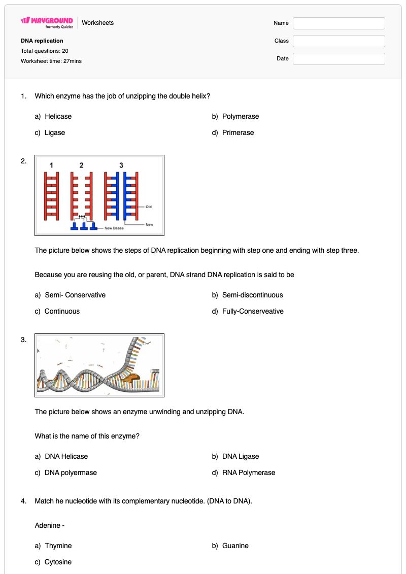 DNA replication - Free Printable Worksheet | Wayground