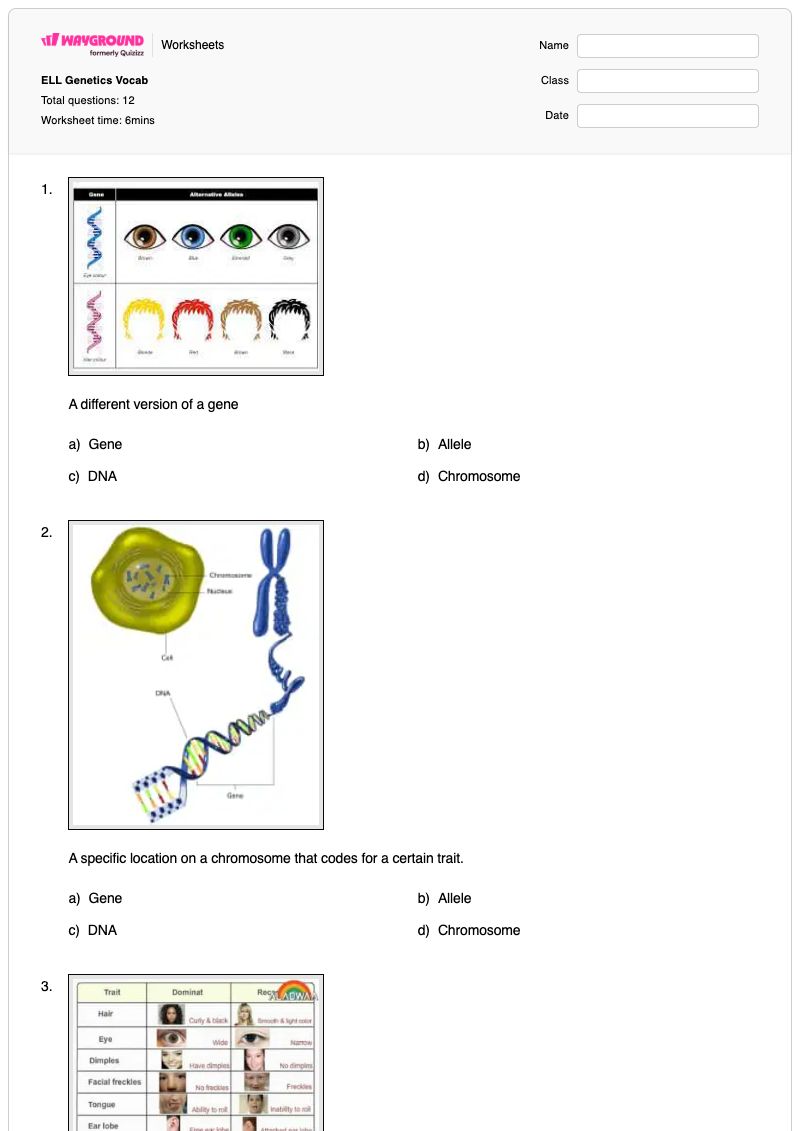 ELL Genetics Vocab - Printable Genetics-vocabulary-genotype-and-phenotype Worksheets Grade 9 - Wayground