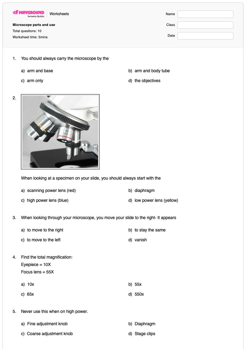 Microscope parts and use - Printable Parts-and-use Worksheets - Wayground