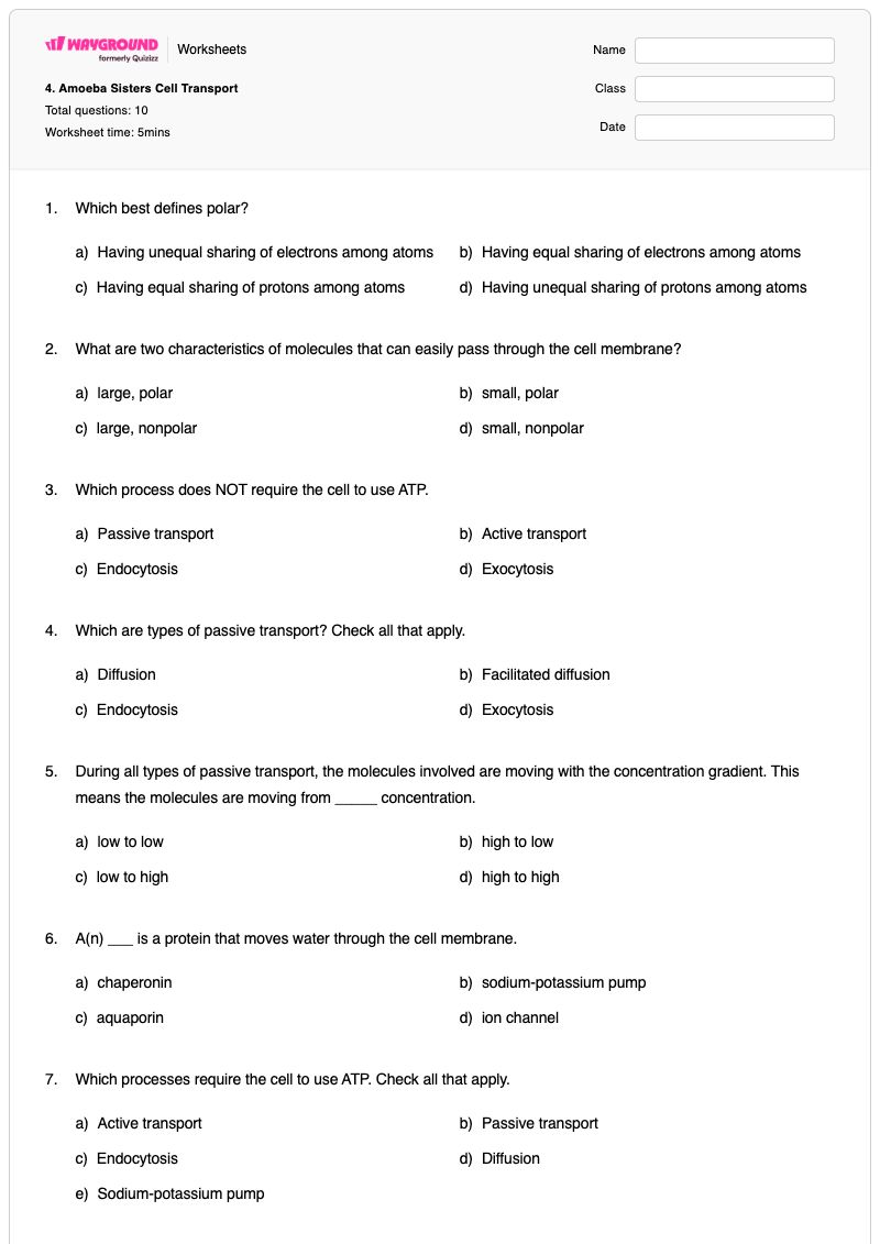 4. Amoeba Sisters Cell Transport - Printable Cell-transport Worksheets - Wayground