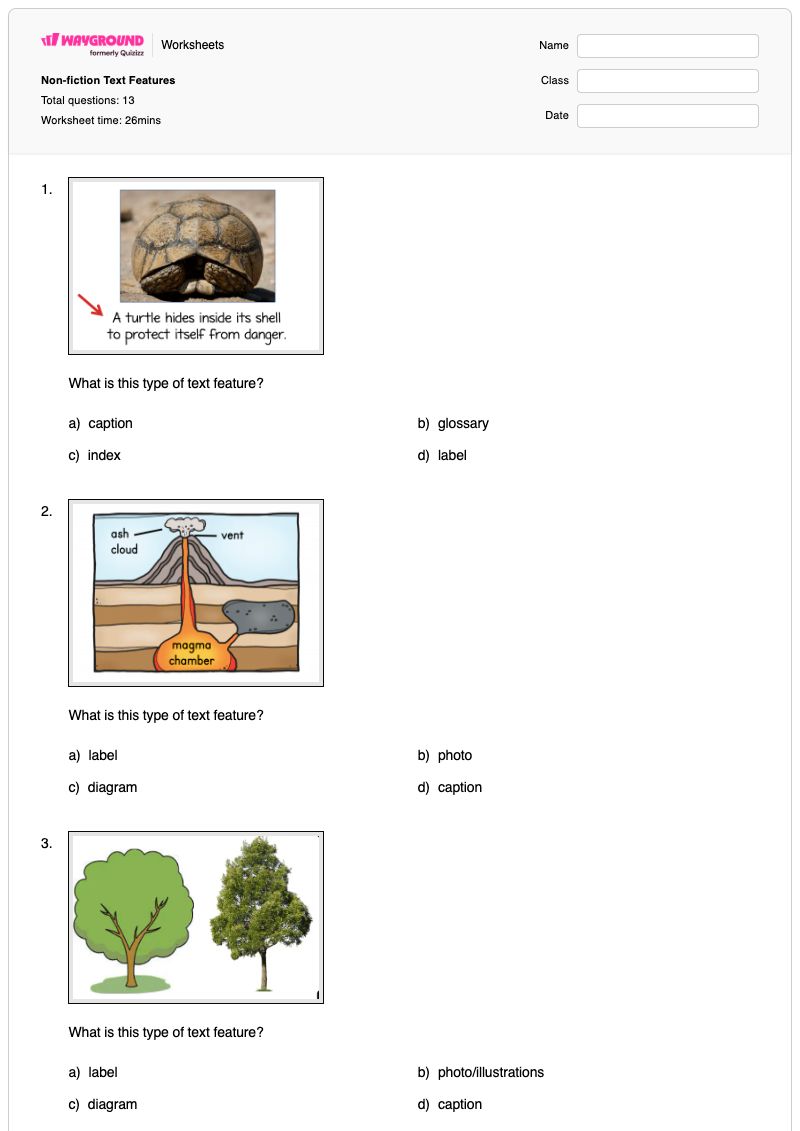 Non-fiction Text Features - Printable Fiction-text-features Worksheets Class 3 - Wayground