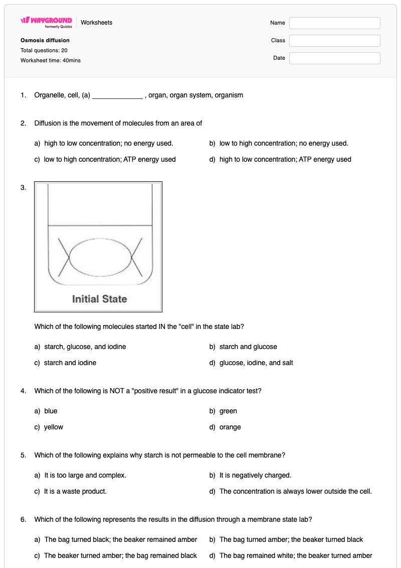 Osmosis diffusion  - Printable Osmosis-and-diffusion Worksheets Year 10 - Wayground