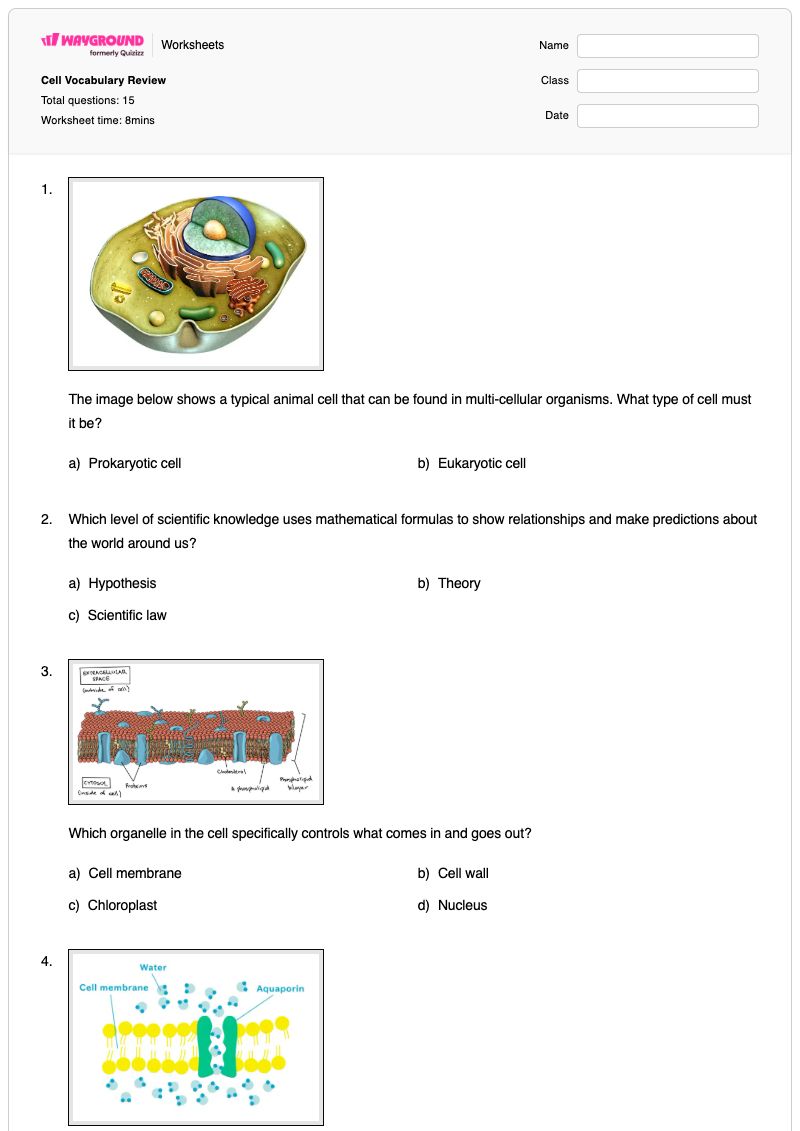Cell Vocabulary Review - พิมพ์ได้ Cell-anatomy เวิร์กชีท ระดับ 8 - Wayground