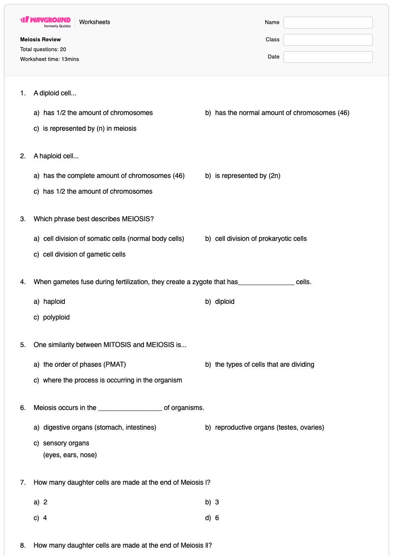 Meiosis Review - Printable Phases-of-meiosis Worksheets Year 9 - Wayground