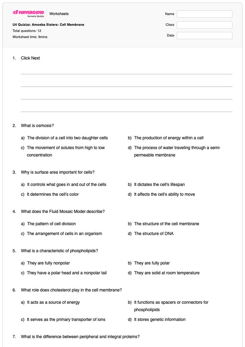U4 Quizizz: Amoeba Sisters: Cell Membrane - Printable The-cell-membrane Worksheets - Wayground