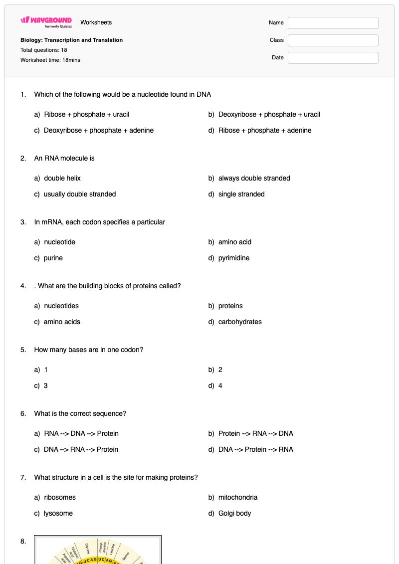Biology: Transcription and Translation - Printable Transcription-and-translation Worksheets - Wayground